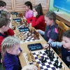Турнир по шахматам-0
